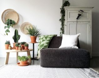 Flores no interior: 175+ (fotos) combinações bonitas (na sala de estar, quarto, na cozinha)