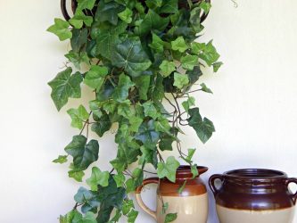 Flores no interior: 175+ (fotos) combinações bonitas (na sala de estar, quarto, na cozinha)
