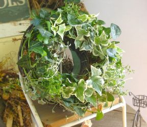 Flores no interior: 175+ (fotos) combinações bonitas (na sala de estar, quarto, na cozinha)