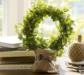 Flores no interior: 175+ (fotos) combinações bonitas (na sala de estar, quarto, na cozinha)