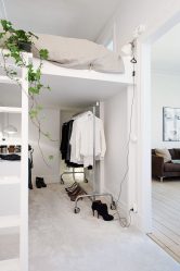 Flores no interior: 175+ (fotos) combinações bonitas (na sala de estar, quarto, na cozinha)