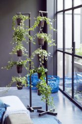 Flores no interior: 175+ (fotos) combinações bonitas (na sala de estar, quarto, na cozinha)