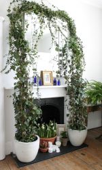 Flores no interior: 175+ (fotos) combinações bonitas (na sala de estar, quarto, na cozinha)