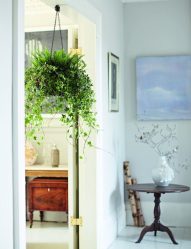 Flores no interior: 175+ (fotos) combinações bonitas (na sala de estar, quarto, na cozinha)