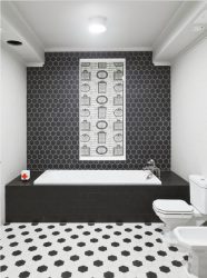 Design de banheiro com e sem pia: Escolhendo móveis (mais de 165 fotos). O que é preferido?