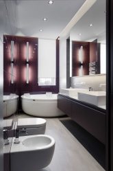 Design de banheiro com e sem pia: Escolhendo móveis (mais de 165 fotos). O que é preferido?