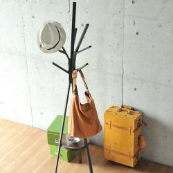 Wall Hanger faça você mesmo no corredor: com uma caixa de sapatos, com uma prateleira, com ganchos. Esqueça a falta de espaço!