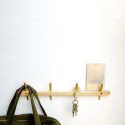 Wall Hanger faça você mesmo no corredor: com uma caixa de sapatos, com uma prateleira, com ganchos. Esqueça a falta de espaço!