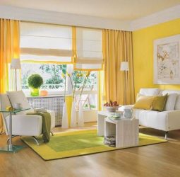 Quais são as cortinas nas janelas (mais de 200 fotos): Várias opções de design para sua casa