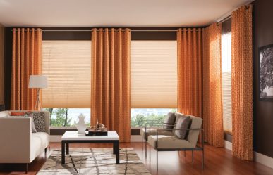 Quais são as cortinas nas janelas (mais de 200 fotos): Várias opções de design para sua casa