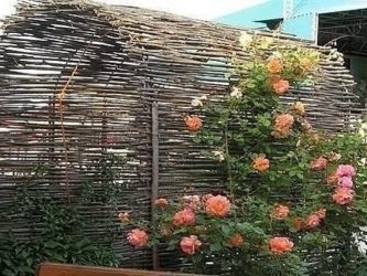 Cerca para uma casa de madeira privada: Como escolher? 200+ (fotos) lindas opções
