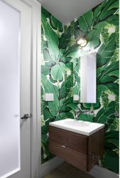 Papéis de parede verdes: mais de 200 fotos de design para o seu interior. Que papéis de parede são adequados para paredes no quarto, cozinha, sala de estar?