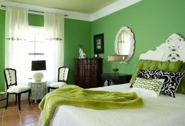 Papéis de parede verdes: mais de 200 fotos de design para o seu interior. Que papéis de parede são adequados para paredes no quarto, cozinha, sala de estar?