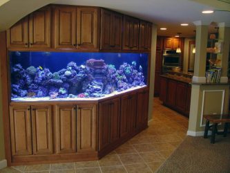 Aquário no interior de um apartamento ou casa: 145+ (Foto) tipos de decoração de seu design (canto, seco, parede divisória, pequeno)