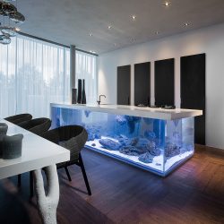 Aquário no interior de um apartamento ou casa: 145+ (Foto) tipos de decoração de seu design (canto, seco, parede divisória, pequeno)