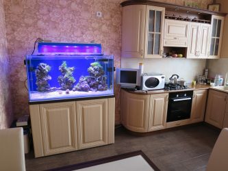 Aquário no interior de um apartamento ou casa: 145+ (Foto) tipos de decoração de seu design (canto, seco, parede divisória, pequeno)