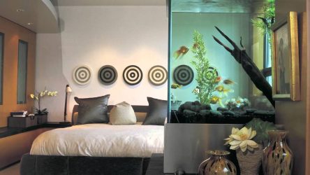 Aquário no interior de um apartamento ou casa: 145+ (Foto) tipos de decoração de seu design (canto, seco, parede divisória, pequeno)