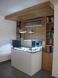 Aquário no interior de um apartamento ou casa: 145+ (Foto) tipos de decoração de seu design (canto, seco, parede divisória, pequeno)