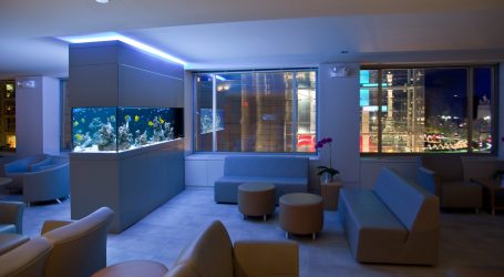 Aquário no interior de um apartamento ou casa: 145+ (Foto) tipos de decoração de seu design (canto, seco, parede divisória, pequeno)