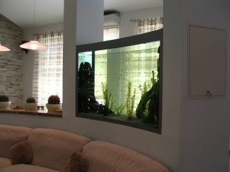 Aquário no interior de um apartamento ou casa: 145+ (Foto) tipos de decoração de seu design (canto, seco, parede divisória, pequeno)