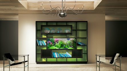 Aquário no interior de um apartamento ou casa: 145+ (Foto) tipos de decoração de seu design (canto, seco, parede divisória, pequeno)