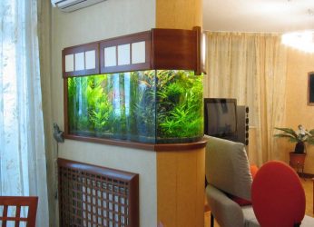 Aquário no interior de um apartamento ou casa: 145+ (Foto) tipos de decoração de seu design (canto, seco, parede divisória, pequeno)