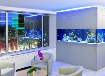 Aquário no interior de um apartamento ou casa: 145+ (Foto) tipos de decoração de seu design (canto, seco, parede divisória, pequeno)