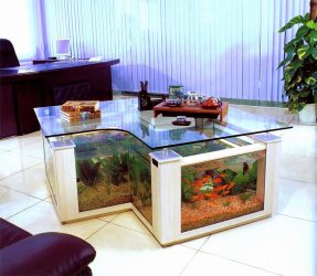 Aquário no interior de um apartamento ou casa: 145+ (Foto) tipos de decoração de seu design (canto, seco, parede divisória, pequeno)