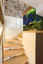 Aquário no interior de um apartamento ou casa: 145+ (Foto) tipos de decoração de seu design (canto, seco, parede divisória, pequeno)