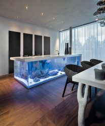 Aquário no interior de um apartamento ou casa: 145+ (Foto) tipos de decoração de seu design (canto, seco, parede divisória, pequeno)