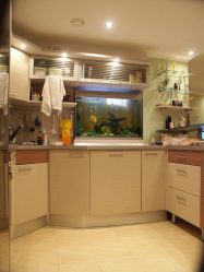 Aquário no interior de um apartamento ou casa: 145+ (Foto) tipos de decoração de seu design (canto, seco, parede divisória, pequeno)