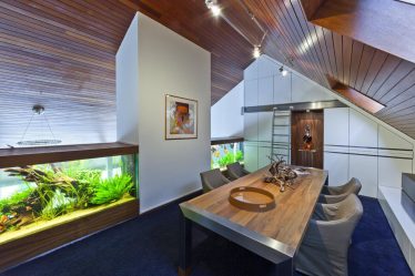 Aquário no interior de um apartamento ou casa: 145+ (Foto) tipos de decoração de seu design (canto, seco, parede divisória, pequeno)