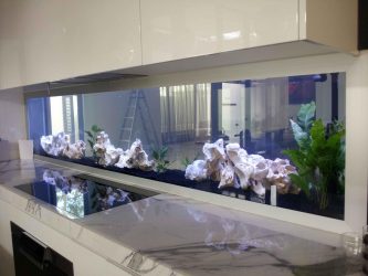 Aquário no interior de um apartamento ou casa: 145+ (Foto) tipos de decoração de seu design (canto, seco, parede divisória, pequeno)
