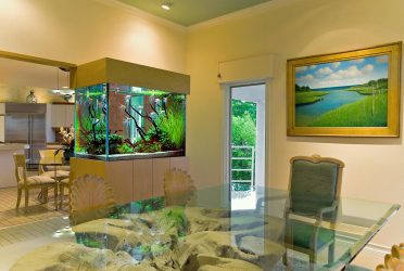 Aquário no interior de um apartamento ou casa: 145+ (Foto) tipos de decoração de seu design (canto, seco, parede divisória, pequeno)