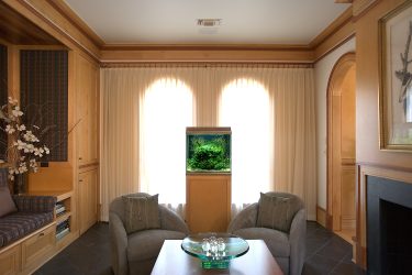 Aquário no interior de um apartamento ou casa: 145+ (Foto) tipos de decoração de seu design (canto, seco, parede divisória, pequeno)