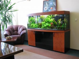 Aquário no interior de um apartamento ou casa: 145+ (Foto) tipos de decoração de seu design (canto, seco, parede divisória, pequeno)