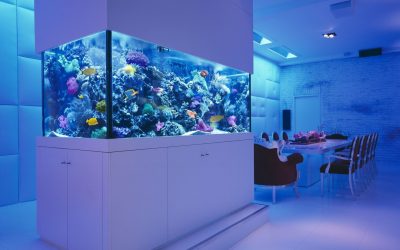Aquário no interior de um apartamento ou casa: 145+ (Foto) tipos de decoração de seu design (canto, seco, parede divisória, pequeno)