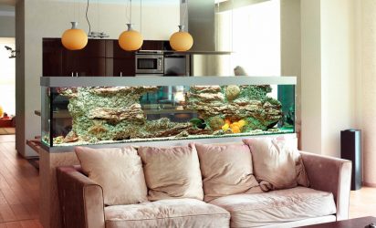 Aquário no interior de um apartamento ou casa: 145+ (Foto) tipos de decoração de seu design (canto, seco, parede divisória, pequeno)