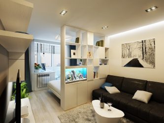Aquário no interior de um apartamento ou casa: 145+ (Foto) tipos de decoração de seu design (canto, seco, parede divisória, pequeno)