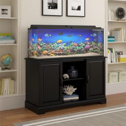 Aquário no interior de um apartamento ou casa: 145+ (Foto) tipos de decoração de seu design (canto, seco, parede divisória, pequeno)