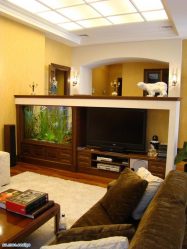 Aquário no interior de um apartamento ou casa: 145+ (Foto) tipos de decoração de seu design (canto, seco, parede divisória, pequeno)