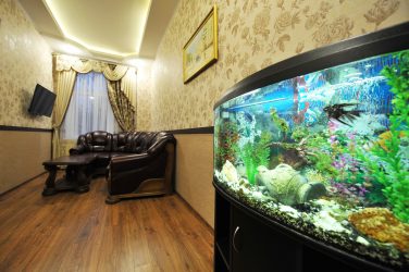 Aquário no interior de um apartamento ou casa: 145+ (Foto) tipos de decoração de seu design (canto, seco, parede divisória, pequeno)