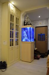Aquário no interior de um apartamento ou casa: 145+ (Foto) tipos de decoração de seu design (canto, seco, parede divisória, pequeno)