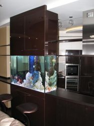 Aquário no interior de um apartamento ou casa: 145+ (Foto) tipos de decoração de seu design (canto, seco, parede divisória, pequeno)
