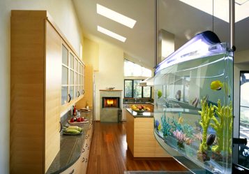 Aquário no interior de um apartamento ou casa: 145+ (Foto) tipos de decoração de seu design (canto, seco, parede divisória, pequeno)