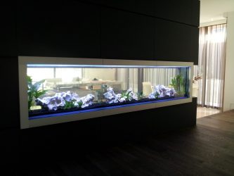 Aquário no interior de um apartamento ou casa: 145+ (Foto) tipos de decoração de seu design (canto, seco, parede divisória, pequeno)
