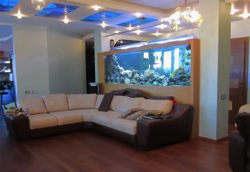 Aquário no interior de um apartamento ou casa: 145+ (Foto) tipos de decoração de seu design (canto, seco, parede divisória, pequeno)