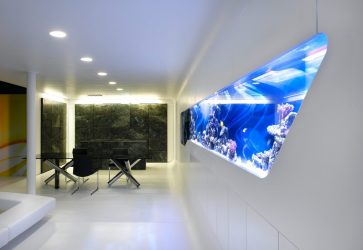 Aquário no interior de um apartamento ou casa: 145+ (Foto) tipos de decoração de seu design (canto, seco, parede divisória, pequeno)