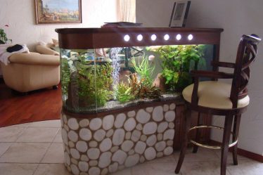 Aquário no interior de um apartamento ou casa: 145+ (Foto) tipos de decoração de seu design (canto, seco, parede divisória, pequeno)