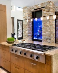 Aquário no interior de um apartamento ou casa: 145+ (Foto) tipos de decoração de seu design (canto, seco, parede divisória, pequeno)